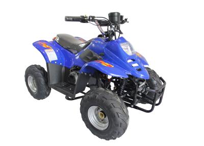 China Small High speed 36V or 48V , 500W or 750W Electric Quad ATV for youth for sale