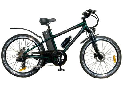 China Custom Black Adults 250W Electric Mountain Bicycle For Mountain Terrain for sale