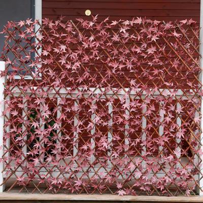 China Easily Assembled 7x7cm Mesh Expandable Hedge Trellis 60x180cm Red Maple Hedge Fence With UV Stable Suitable For Outdoor for sale