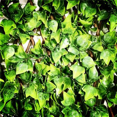 China Easily Assembled Artificial Expanding Leaf Seed-Bearing Ficus Growing Willow Trellis for sale