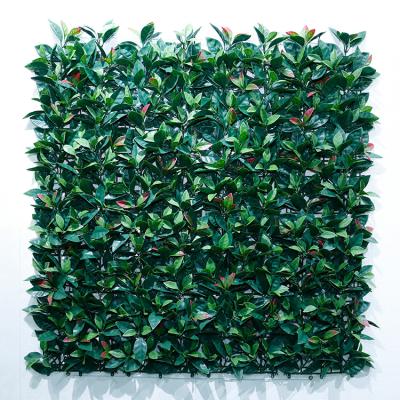 China Wholesale Country High Performance Planting Vertical Green Wall System Decorative Plastic Artificial Wall Plants Board for sale