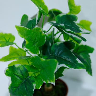 China Real Grass Touch Greenery Plants Easily Assembled Artificial Bonsai Plants Plastic Fleshy Potted Plants Wholesale for sale