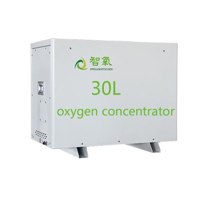 China High Altitude Oxygen-Concentrator30LMP 20ltr Portable 30L Concentrator for sale