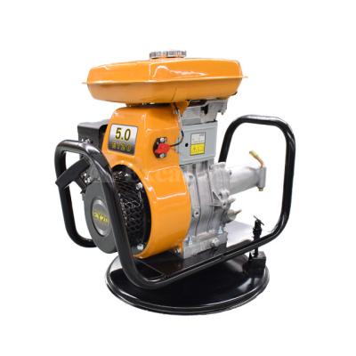 China Construction Industry Concrete Vibrator Small Electric Motor for sale