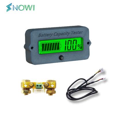 China Lead-acid Battery Test Baiway TY02K 100A Battery coulometer charge and discharge battery level indicator battery monitor capacity tester for sale