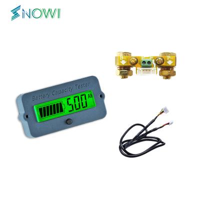 China Lead-acid Battery Test Baiway TY02K 100A Battery coulometer charge and discharge battery level indicator battery monitor capacity tester for sale