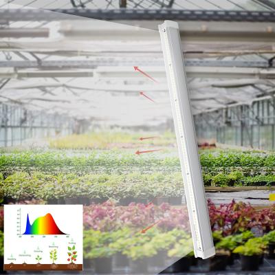 China Plants 18W 2FT Small Lamps New Arrival Waterproof Indoor Full Spectrum LED Grow Light For Vertical Mounting for sale