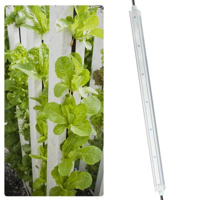 China Small Hydroponics Lamps EDKFARM T5 IP65 LED Grow Lighting Indoor Plant Microgreen Vertical Rack Full Spectrum 18W LED Grow Light Bar for sale