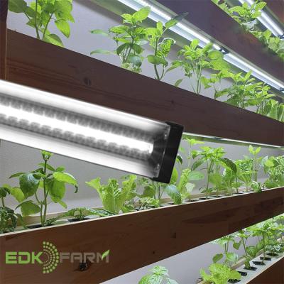 China Seed Starting EDKFARM 4' Hydroponic Indoor Plants Full Spectrum Horticulture Bars Led To Grow Light for sale