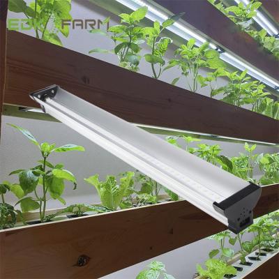 China Seed Starting Aquarium Systems Hydroponic Growing Garden Grow Tent Strip Bar Spectrum Full Led To Grow Lightweight For Indoor Plants for sale