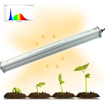 China Double Sided Light Industrial Hydroponic Led Grow Lights Horticulture Led Plant Lamp for sale