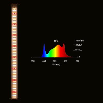 China Best Single Sided Light Double Led Grow Light Strawberry Plant Grow Lamp For Leafy Lettuce Hydroponic Vertical Vegetable Growing for sale