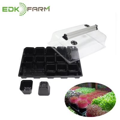 China With Dome Plants Paper Barley Grow Hydroponic Float Germination Seed Propagation Tray for sale