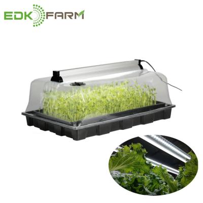 China With Dome Microgreens Hydroponics Aquaponics Fodder Grow Tray Seed Grow Kit for sale