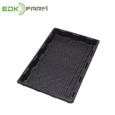 China With Microgreen Indoor Dome Plastic Hydroponics Barley Plant Kit Seed Growing Hydroponic Trays for sale