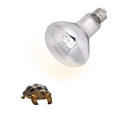 China Basking REPTILES 125W 160W 100W Reptile Spot Heat Led UVA Bulb Lamp For Lizard, Turtle, Bearded Dragon for sale