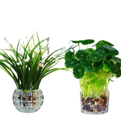 China Potted Art Decor Wholesale Artificial Plant Bonsai Artificial Succulent For Decor Home Office Wedding With Glass Pot for sale