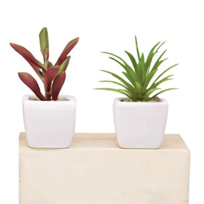 China Simplicity Decorative Car Desktop Ceramic Artificial Succulent Plant Pot Small Plant Decorative Succulent Pots for sale