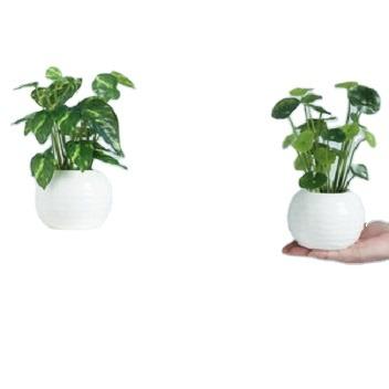 China Small Minimalist Artificial Promotional Flower Pot Plant Pot Indoor Plant Ceramic Pots Decorative Potted Artificial Promotional Desktop Decorative Pots For Decor for sale