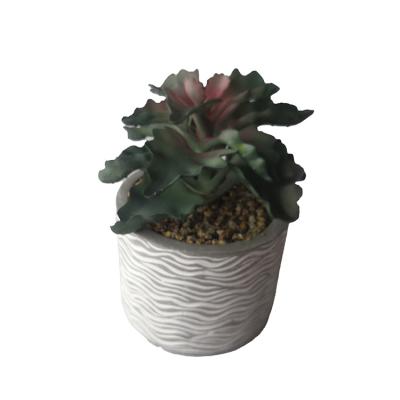 China China Plants Manufacturer Durable Succulent Cement Indoor Artificial Pot Set For Home Decor for sale