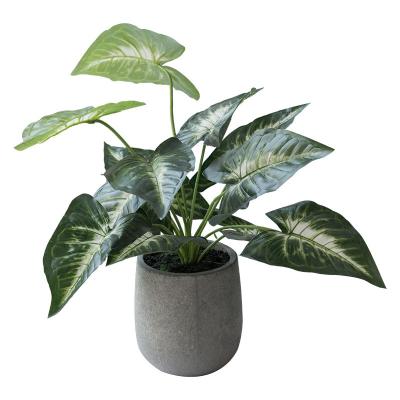 China Meat Europe cement flower pot personality artificial flowers Nordic modern style frosted potted green plants for sale