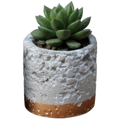 China Home Garden Decoration Nordic Simplicity Colorful Bonsai Pot Indoor Outdoor Cement Flower Plant Stand for sale