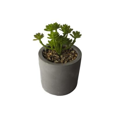 China Minimalist Free Sample Artificial Succulent Plants With Cement Pots Decoration Office Home Office for sale