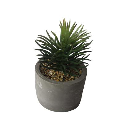 China Minimalist New Design Various Artificial Succulent Plants With Cement Pots Home Decoration for sale