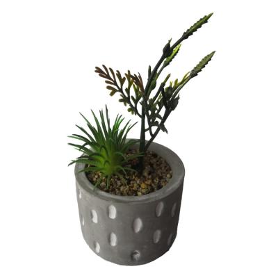 China Minimalist Mini Plastic House Plants for Home Office Decoration Cheap Artificial Succulent Plants for sale