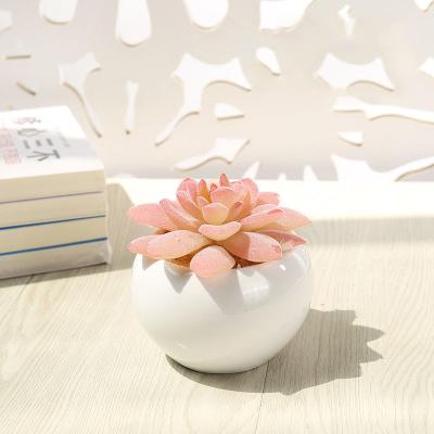 China Hot Selling Waterproof Hot Selling Artificial Potted Desktop Succulents Garden Plastic Home Plastic Home Plants for sale