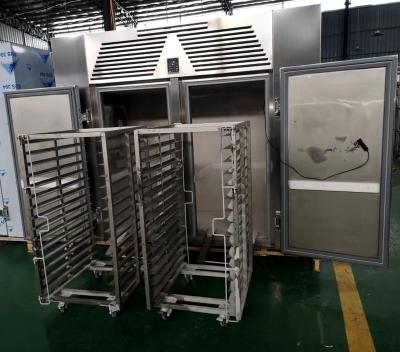 China Hotels 40 Trays 2 Trolleys Commercial Instant Freezer Fast Freezing Machine For 150kgs for sale