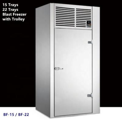 China Hotels 22 Trays Stainless Steel Commercial Upright Quick Freezer / Blast Refrigerator for sale