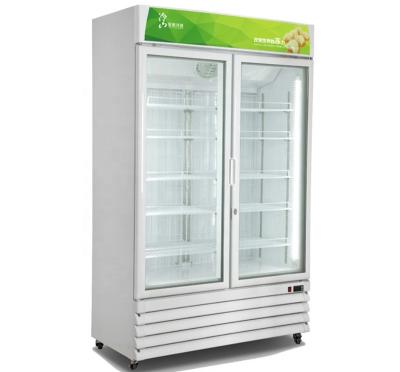 China Hot Selling Single-temperature 900L 2 Glass Doors Upright Freezer / Upright Refrigerator Display Freezer for sale