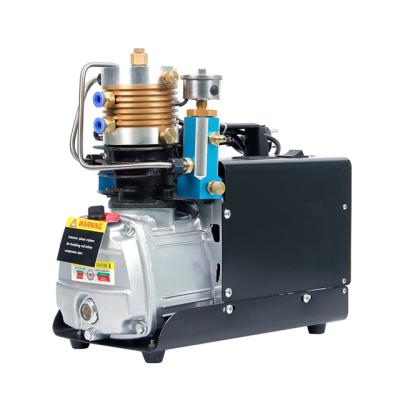 China OIL-LESS high pressure made in china 4500psi dc mini electric portable pcp pump air compressor for sale