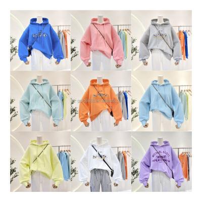 China Anti-wrinkle factory price design logo pattern solid color women's sweater factory newly produced Women's Hoodie for sale