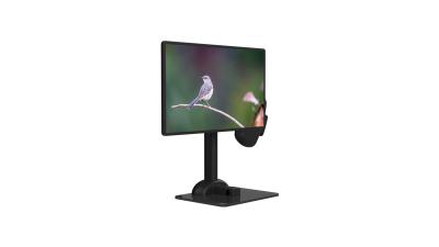 China Gerencio profissional do suporte do monitor do LCD automático para a rigidez da espinha à venda