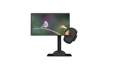 China Projeto preguiçoso ergonômico da montagem móvel automática do monitor para a saúde do pescoço à venda