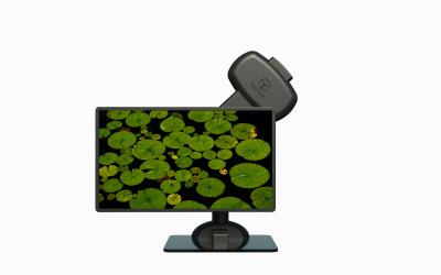 China Elevación eléctrica de la pantalla del monitor giratorio Bracket brazo para prevenir el cuello rígido en venta