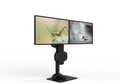 Chine Automatic Lifting Rotating Dual Monitor  Mount  For Relieve Neck And Back Pain à vendre