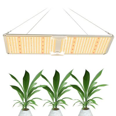 China SF2000 220W Lm301b QB288 V2 Horticulture Greenhouse Full Spectrum Grow LED Light for sale