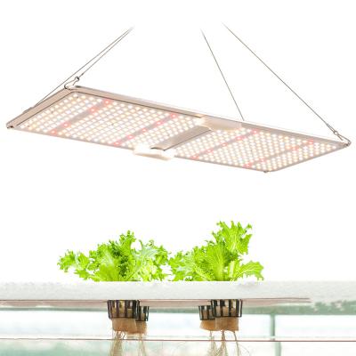 China 220W FLOWER Full Spectrum LED Growlights LED Grow Light Hydroponic With LM301B Chips for sale