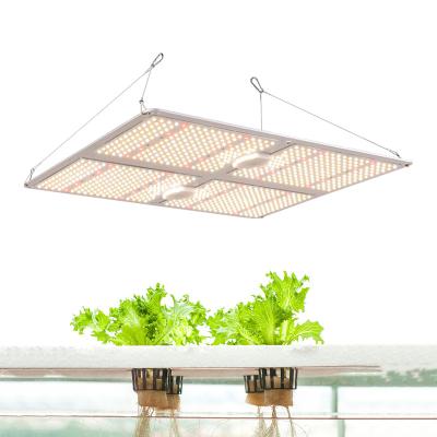 China FLOWER 450W LM301B LED ELG MeanWell Driver Full Spectrum Grow Light For Hydroponics for sale