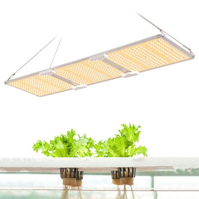 China FLOWER SF3000 Novedades LM301B grow LED, Aeropot 320W QB288V3 Edge LED grow light for sale