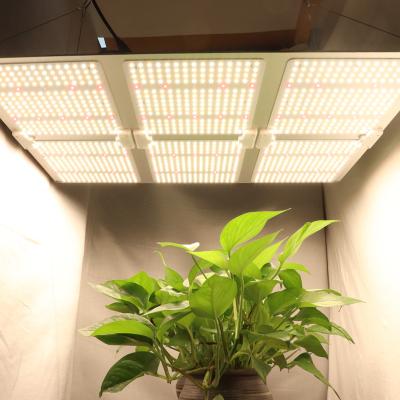 China FLOWER High Power LED Grow Light 600w , Full Spectrum LM301B Diodes Dimmable LED Grow Lamp for sale