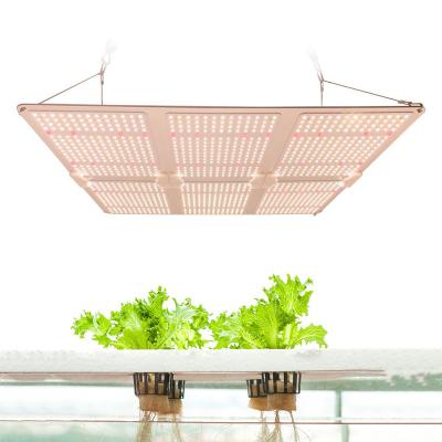 China FLOWER 600W full spectrum ip65 waterproof aluminum body lm301b LED grow light for indoor plants for sale