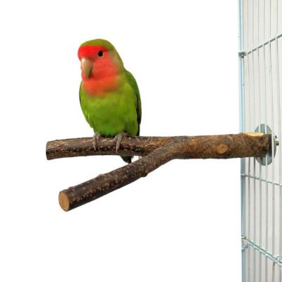 China G00478 Apple Bird Parrot Station Pole Station Wooden Rod for sale