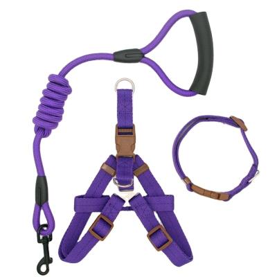 China Hot Sale High Quality Durable Shock Resistant No Deformation Soft Cotton Leash for sale