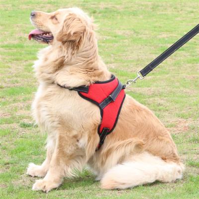 China Viable Pet Training Halter Tethers Thoughtful Pet Adjustable Leash Dog Chest Harness for sale