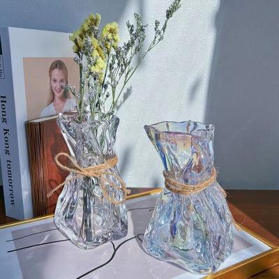 China Central Institute of Statistics Nordic Minimalist Luxury Irregular Clear Glass Vase Hydroponic Vase for Hotel Home Decor for sale