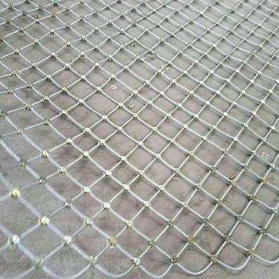 China Plain weave High strength Steel wire mesh Initiative protective systems Rockfall barrier for sale